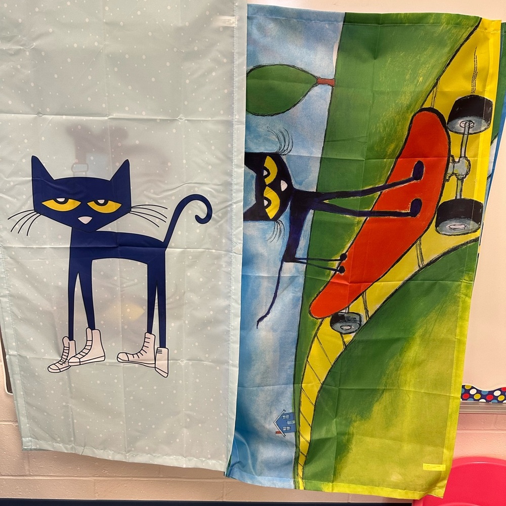 Pete the cat classroom light covers